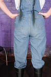 Soggy in Dungarees