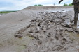 Maude's Mud Workout view details of set gm-2m25, Muddy exercise is the best!