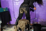 Getting Muddy Cleaning