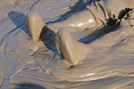 Waterproof Boilersuit Mudbath