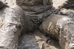 Blue Suit Mud Bath