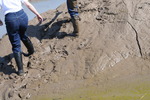 Denims in the Mud