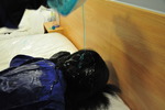Hotel Bed Bubble Bath Fun