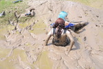 Mud Dress Blue