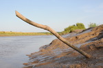Spandex Suits Mudbath